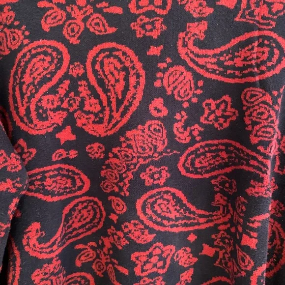 Forever 21 Red and Blue Paisley Sweater - Picture 2 of 3
